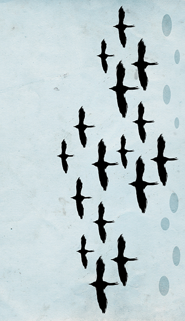 LA CIUDAD O LA PALABRA PÁJARO